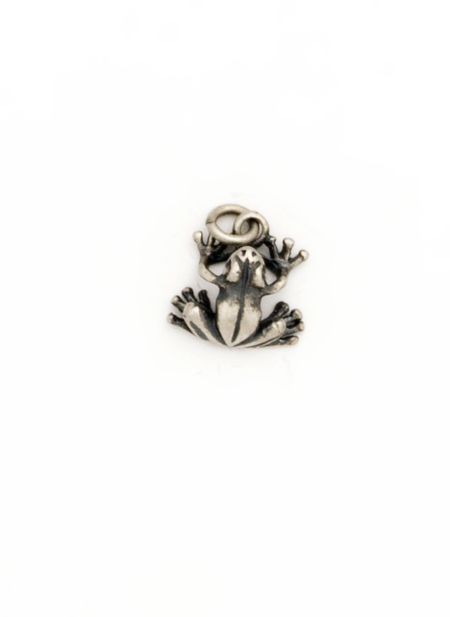 миниатюра, жаба, сребро , 925, сребърни бижута | jewelryboxbg